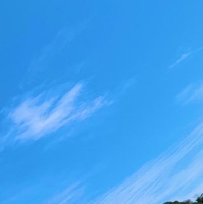 Dontree_Mile's profile picture. 