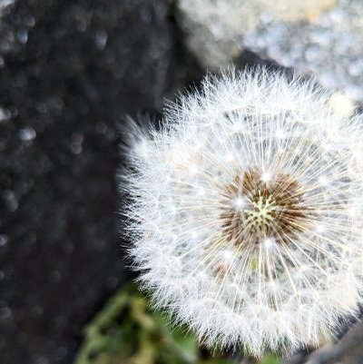 Eriixo's profile picture. 