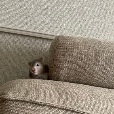 fih_10's profile picture. 