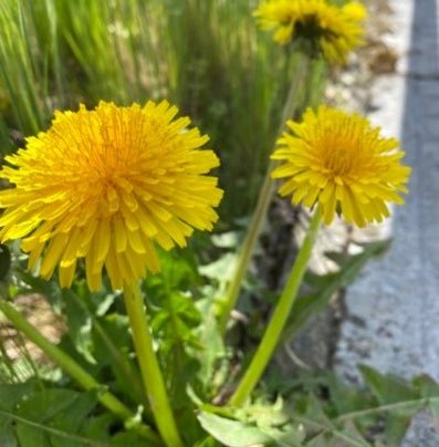 fucksalt1989's profile picture. 