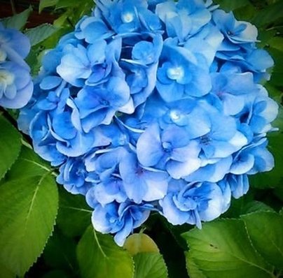 geodielvsamanda's profile picture. 