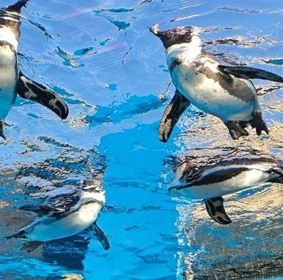 ievuciukas666's profile picture. 