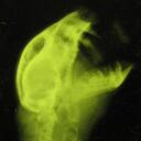 Scott McAnally - @ScottMcAnally - Twitter