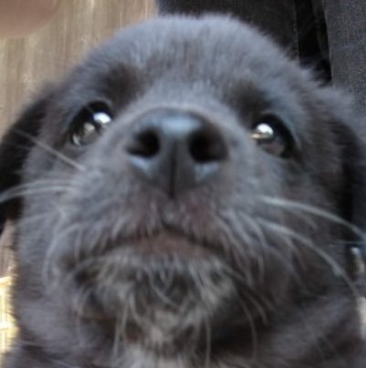 jonathanPSN's profile picture. 