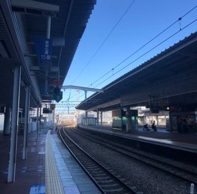 josieeo's profile picture. 