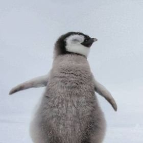 sabrielgyme's profile picture. formerly tony