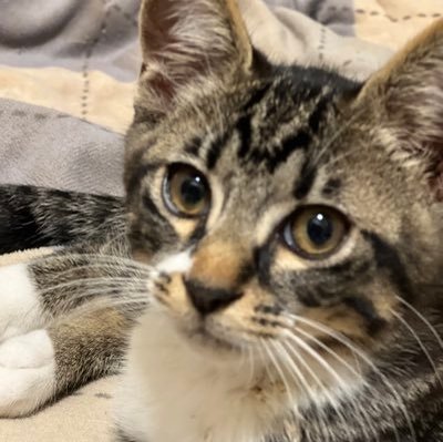 Keys4684's profile picture. 