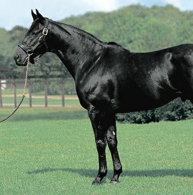 kikay1970's profile picture. 