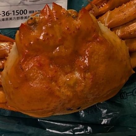 isokan0106's profile picture. 銭湯からの瓶ビールが大好き

好きな動物：馬・虎