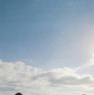 LALA0HH's profile picture. 