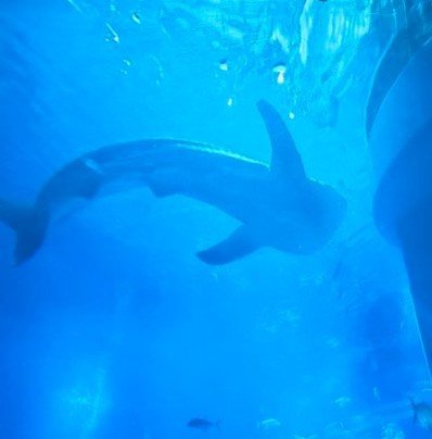 le54wCqJPywgzRp's profile picture. 