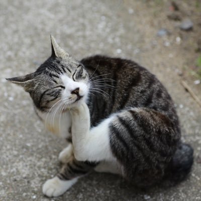 maddio1225's profile picture. 