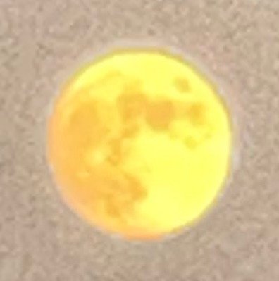 malashideepika's profile picture. 