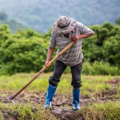 IrJonas18002's profile picture. 