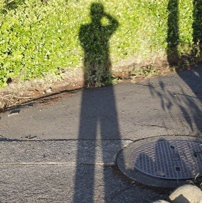 missapple181's profile picture. 