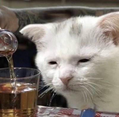 msnorl's profile picture. 