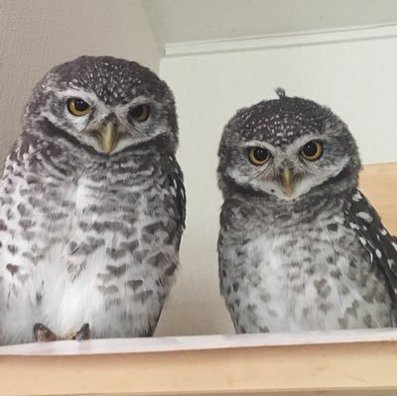 natalbaglioni's profile picture. 