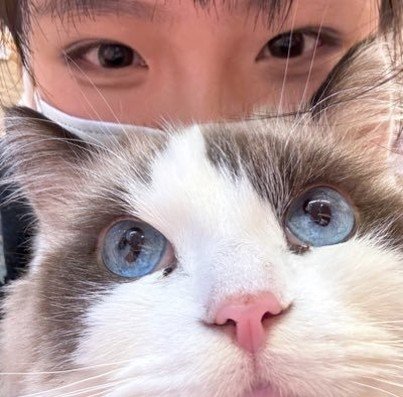 POP173109's profile picture. 