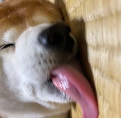 ravikishore9703's profile picture. 