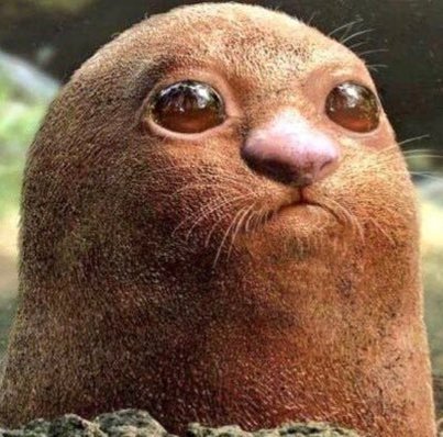 Ro0xmyzinzirtha's profile picture. 