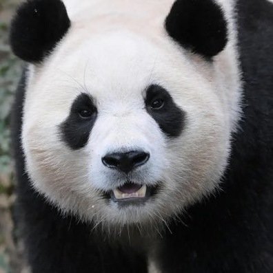 Scott_Mckie_'s profile picture. 