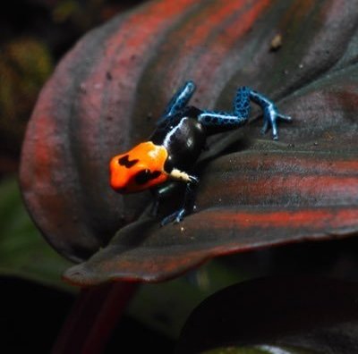 sloanerangers's profile picture. 