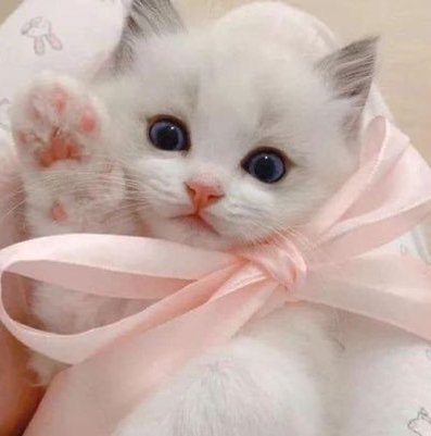 sputnickhernand's profile picture. 