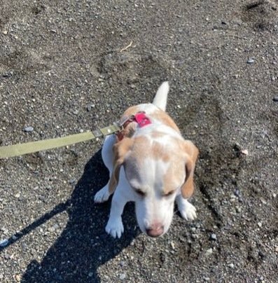 StrataGConsult's profile picture. 