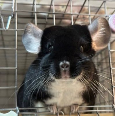 tkbdevelopment's profile picture. 