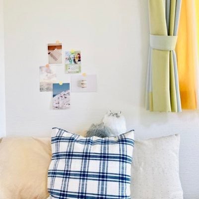 wilkerpereirad1's profile picture. 