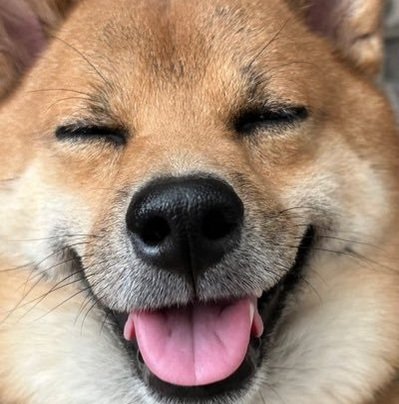 Wooding08's profile picture. 