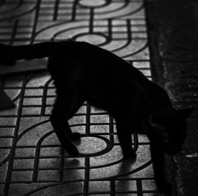 XxJDFisMINExX's profile picture. 