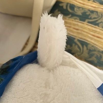 yasarar34074639's profile picture. 