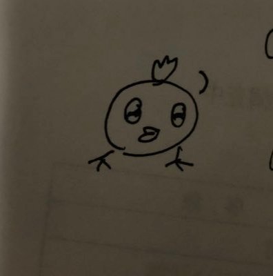 yolvisbermudez's profile picture. 