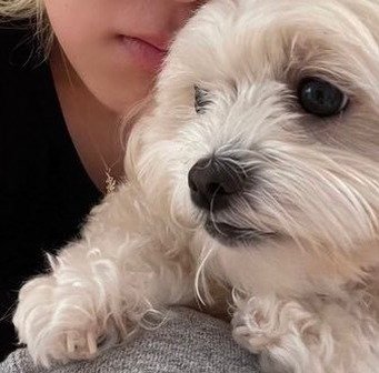 johthelin's profile picture. 