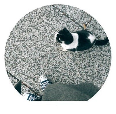 LittleBluClover's profile picture. 