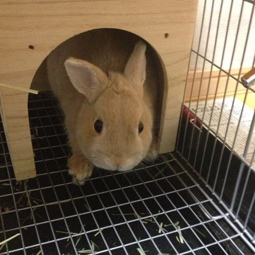 MonicaLopezP_'s profile picture. 