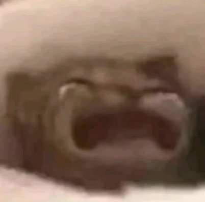 PeredoRonal's profile picture. 