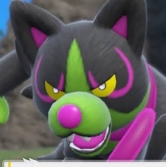 Tweetydc's profile picture. 