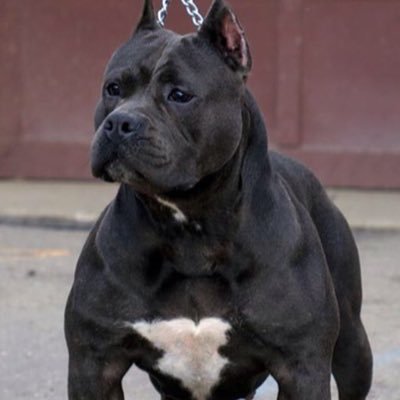 james_00029's profile picture. photocard editor and buyer. serious buyer can don for dealership