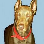 DONA_RRT's profile picture. Life is too short!