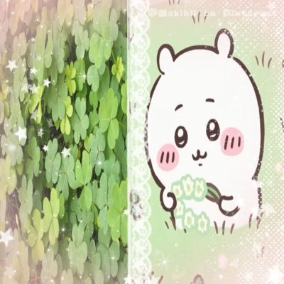 ₊˚⊹ ❤︎