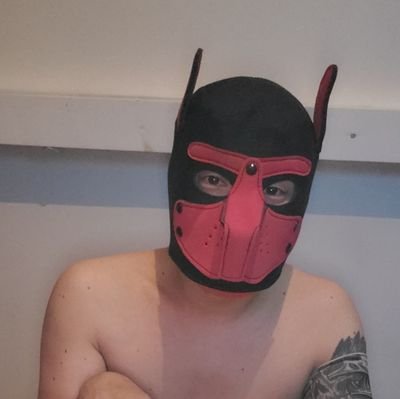 lechepiedbxl's profile picture. Grosse pute cherche sa maitresse