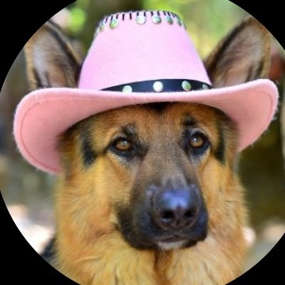 Texascattle2's profile picture. Texas Constitution Conservative *Fueled by *Jesus and coffee * #SupportOurTroops #BacktheBlue 
🚫DMs🚫.  DM means ur blocked