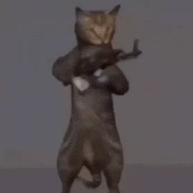 pirate30251's profile picture. 🏴‍☠️🏴󠁧󠁢󠁥󠁮󠁧󠁿🏴󠁧󠁢󠁳󠁣󠁴󠁿🇦🇪🇦🇫🇦🇬🇦🇮🏴󠁧󠁢󠁷󠁬󠁳󠁿🇦🇱🇦🇲🇦🇩🇦🇲⛳🇦🇼🇧🇩🇧🇧🇧🇫🇦🇸🇧🇴🇧🇱🇧🇹🇬🇧🇫🇷🇮🇱🇮🇪🇮🇳
I have more flags than you.