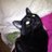 CrystalMcKinney's profile image