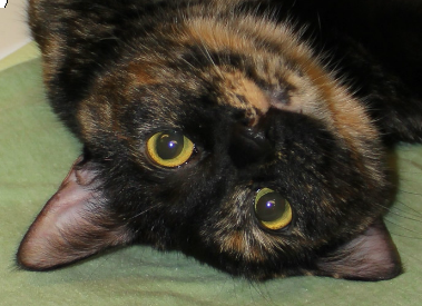 Aurora0110's profile picture. 