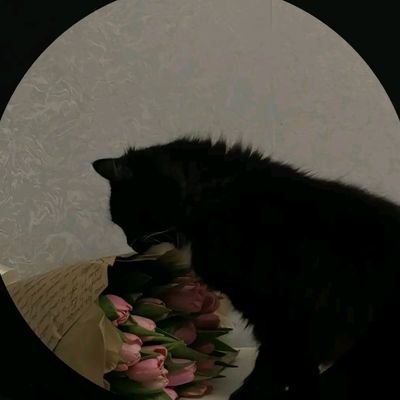 breakdzz's profile picture. « Aucun de vous ne sera véritablement croyant tant qu’il n’aimera pas pour son frère ce qu’il aime pour lui-même. » 🌸🌷

apprenez le pardon 🌻