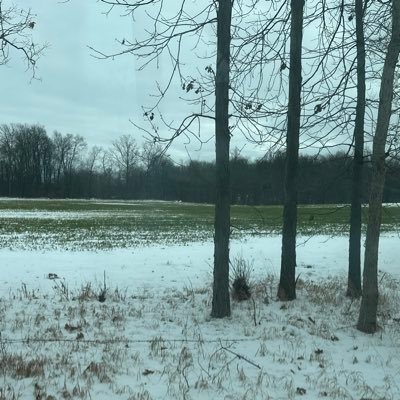 PaPiCG98's profile picture. 