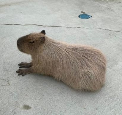 AlexKatalin's profile picture. 